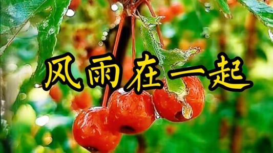 风雨在一起-钢琴谱