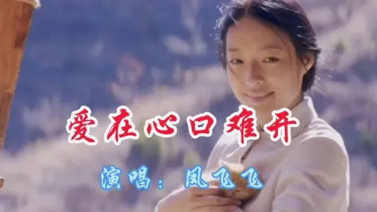 爱你在心口难开-钢琴谱