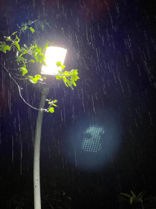 落雨声-钢琴谱