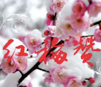 红梅赞-钢琴谱