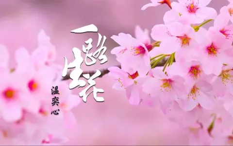 一路生花-钢琴谱