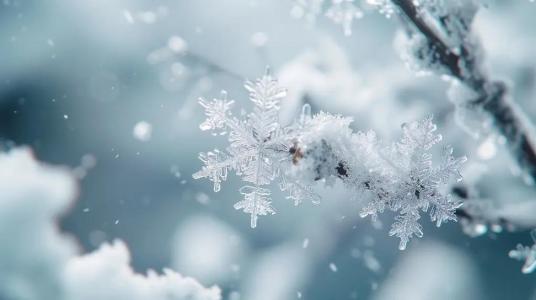 千层雪(尺八/古筝/二胡)-钢琴谱