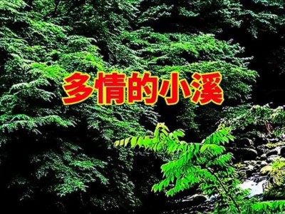 多情的小溪-钢琴谱