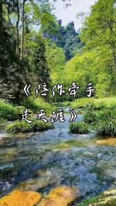 陪你牵手闯天涯(DJ伟然版)-钢琴谱