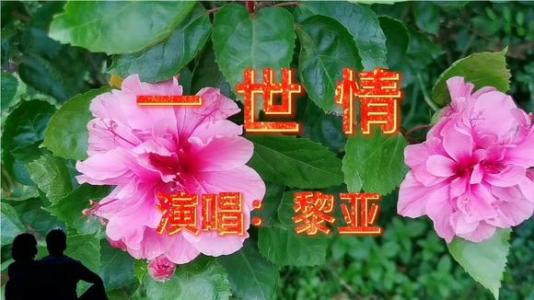 一世情-钢琴谱