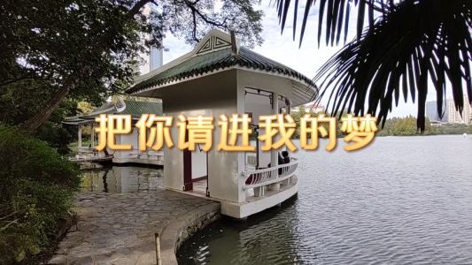 把你请进我的梦-钢琴谱