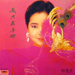 我只在乎你(古筝版)-钢琴谱