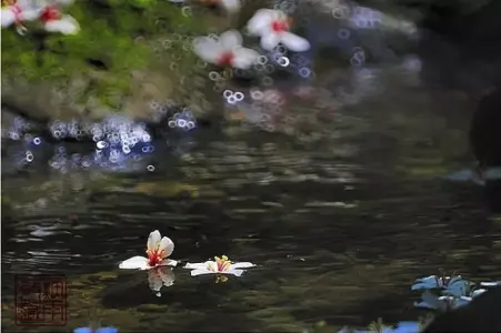落花流水-钢琴谱
