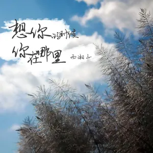 想你的时候你在哪里-钢琴谱