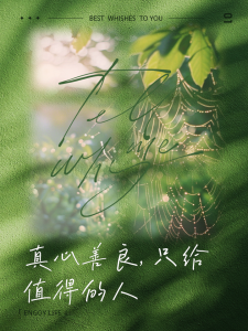 把善良留给善良的人-钢琴谱