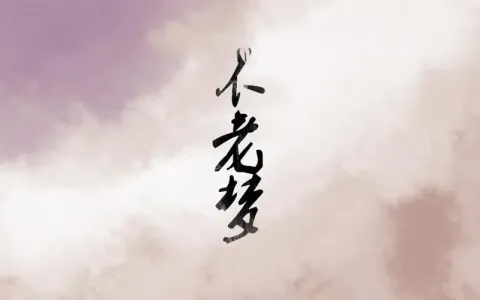 不老梦(古筝版)-钢琴谱