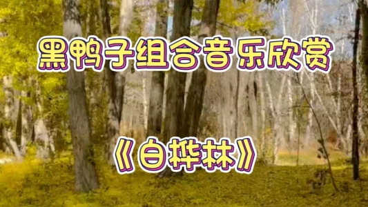 白桦林-钢琴谱