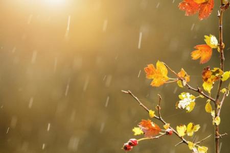 雨落清秋(葫芦丝）-钢琴谱