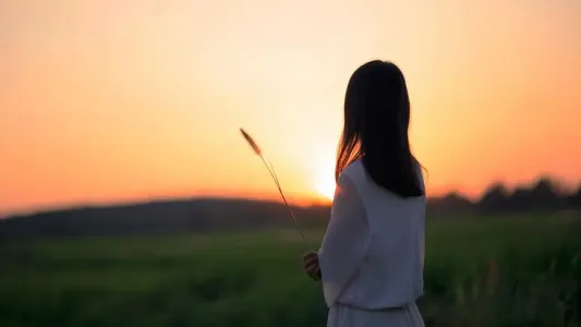 拉兹之歌-钢琴谱