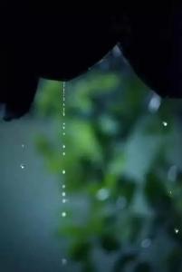 半山听雨-钢琴谱