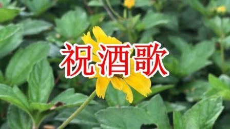 祝酒歌(萨克斯版)-钢琴谱
