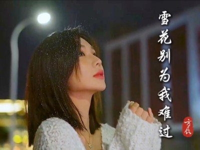 雪花别为我难过-钢琴谱