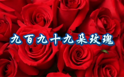九百九十九朵玫瑰-钢琴谱