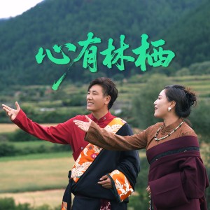 心有林栖-钢琴谱