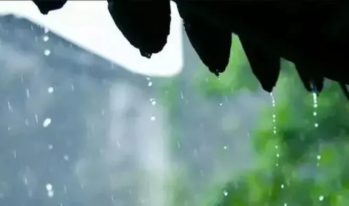 茶香夜雨-钢琴谱