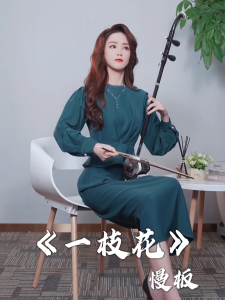 一支花(二胡)-钢琴谱