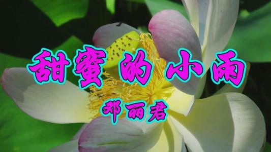 甜蜜的小雨-钢琴谱