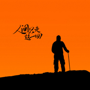 人生只一回-钢琴谱