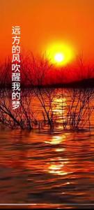 远方的风吹醒我的梦-钢琴谱