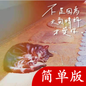 晴朗的日子吉他谱简单版