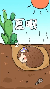 夏眠-钢琴谱
