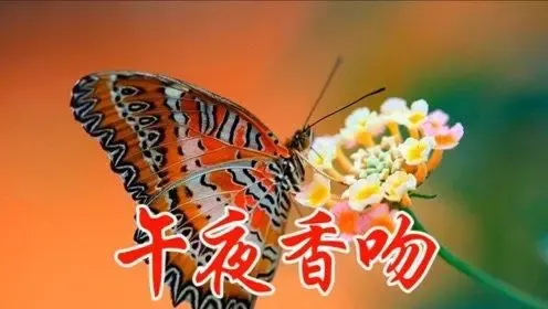 午夜香吻-钢琴谱