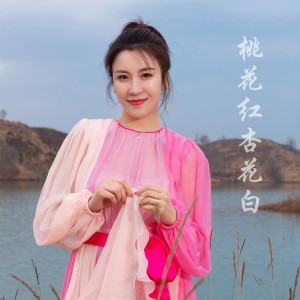 桃花红杏花白-钢琴谱