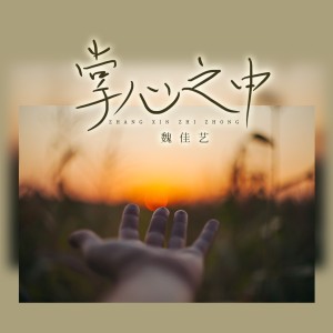 掌心之中(DJ默涵版)-钢琴谱