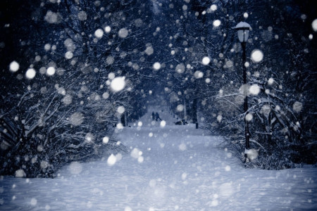 飘雪-钢琴谱