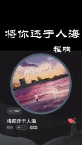 将你还于人海-钢琴谱