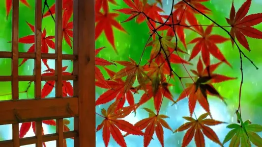 秋窗风雨夕-钢琴谱