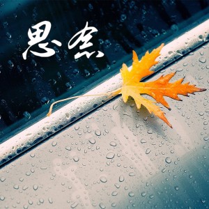思念-钢琴谱