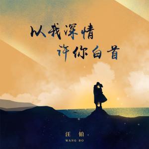 以我深情 许你白首-钢琴谱