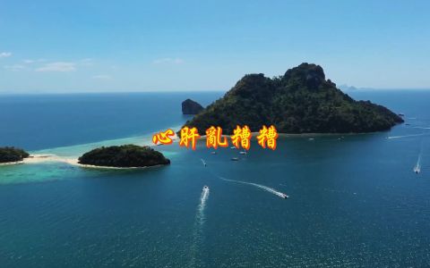 心肝乱糟糟-钢琴谱