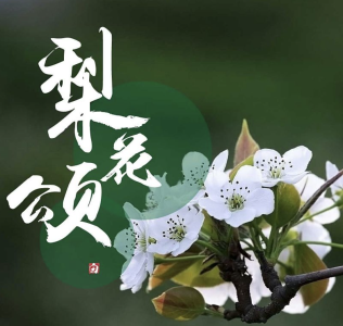 梨花颂-钢琴谱