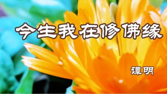 今生我在修佛缘-钢琴谱