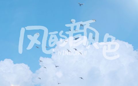 风的色彩Colors Of The Wind-钢琴谱