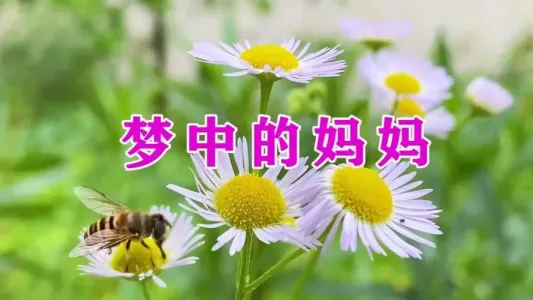 梦中的妈妈-钢琴谱