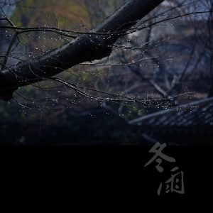 冬雨-钢琴谱