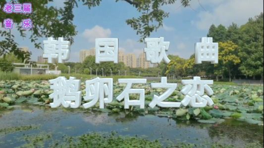 鹅卵石之恋/조약돌 사랑-钢琴谱