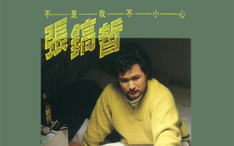 不是我不小心(电萨版)-钢琴谱