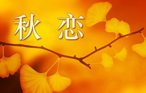 秋恋(萨克斯）-钢琴谱