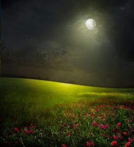 草原花月夜-钢琴谱