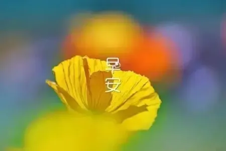 炽热的问候-钢琴谱