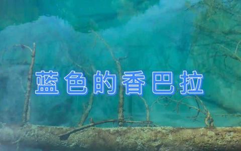 蓝色的香巴拉-钢琴谱